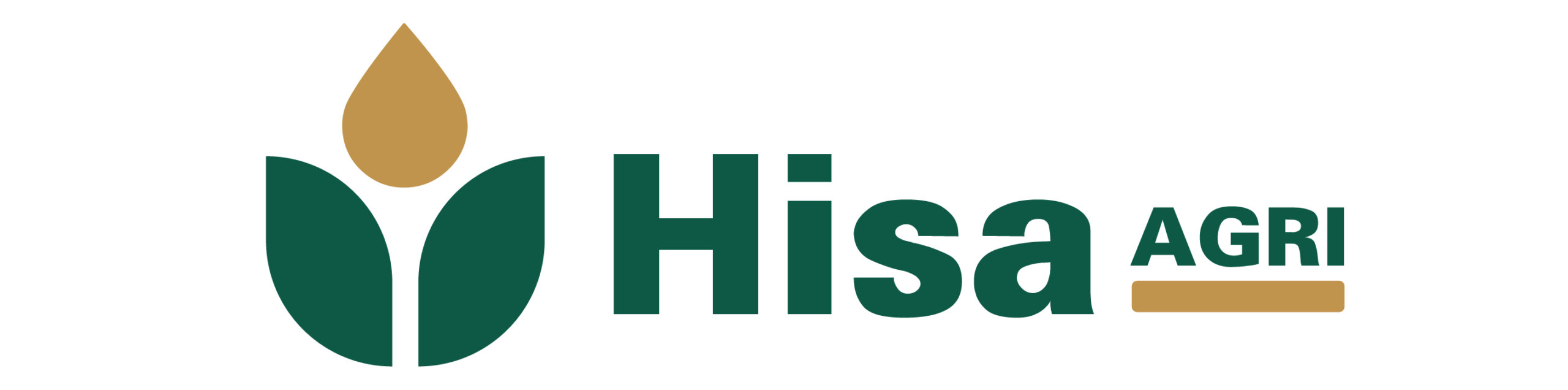 hisa web